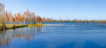 滇池湿地高清全景图