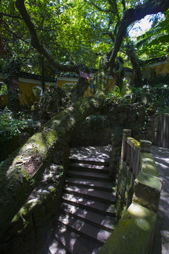 普陀山风景