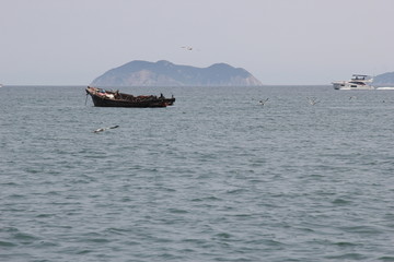 海景海鸥海洋游艇渔船渔业捕鱼