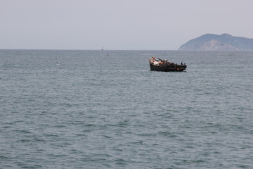 海景海鸥海洋游艇渔船渔业捕鱼