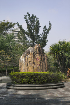 松树