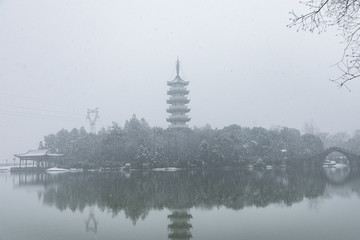 浙江金华市茶花园雪景