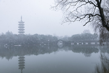 浙江金华茶花园雪景