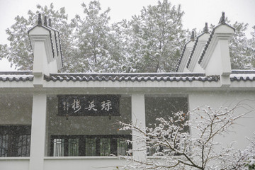 浙江金华茶花园雪景