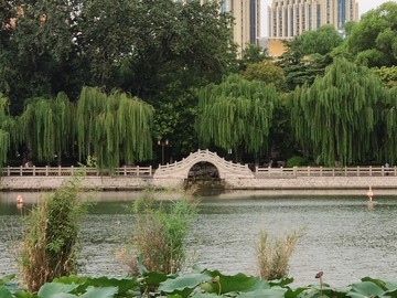 济南大明湖