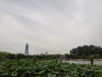 济南大明湖