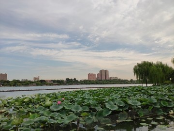 济南大明湖