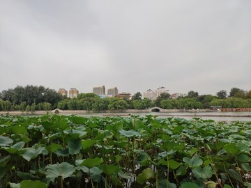 济南大明湖