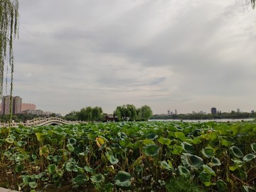 济南大明湖