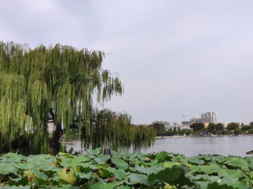济南大明湖公园