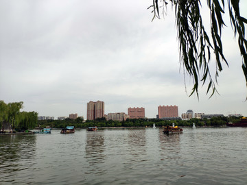 济南大明湖公园