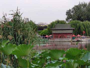 济南大明湖公园
