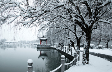 公园雪景