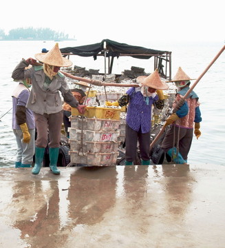 装卸海渔的渔民