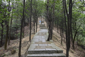 山路