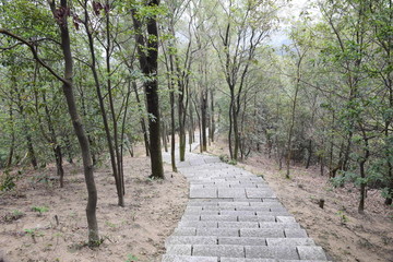 山路