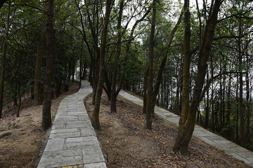 山路