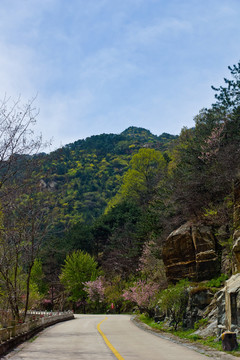 桃花峪风光