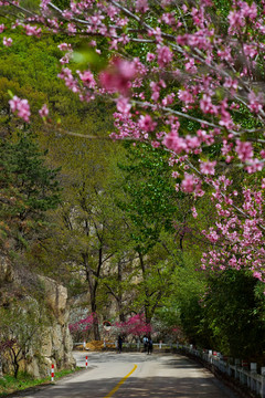 泰山桃花源风光