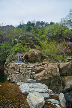 泰山桃花峪风光