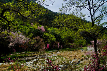 泰山桃花峪风光