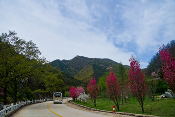 泰山桃花峪风光