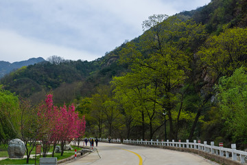 泰山桃花源风光