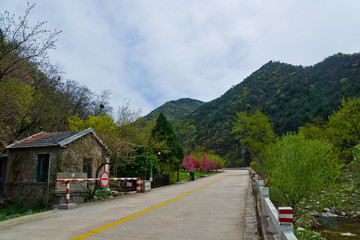 泰山桃花源风光