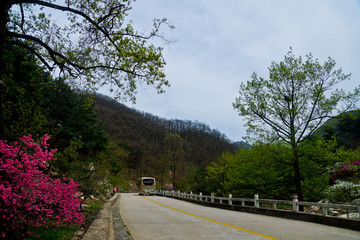 泰山桃花峪风光