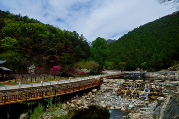 泰山彩石溪