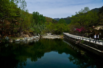 泰山桃花源风光