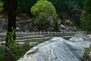 泰山桃花峪风光