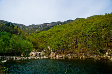 泰山桃花峪风光