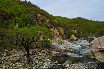 泰山桃花源风光