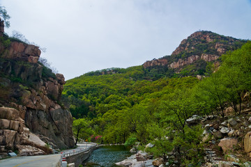 泰山桃花峪风光