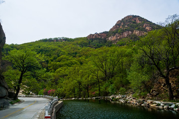 泰山桃花源