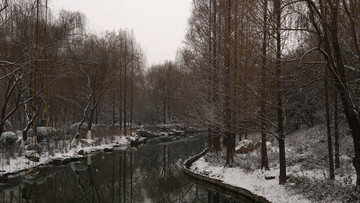 大明湖雪景