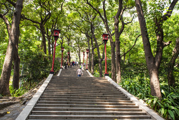 树林山路