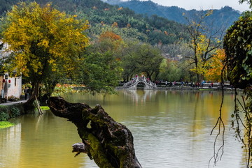 鳄鱼头宏村