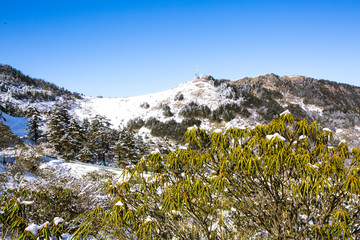 神农架雪景