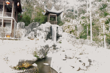 深圳园博园下雪