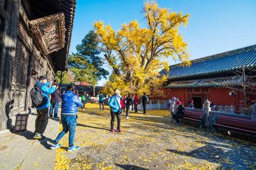 北京大觉寺