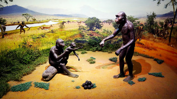 古代猿人生活场景