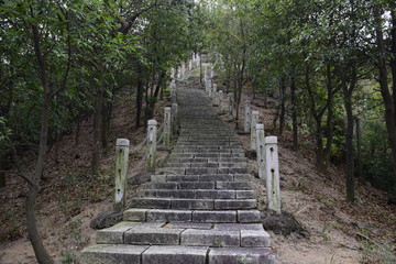 山路