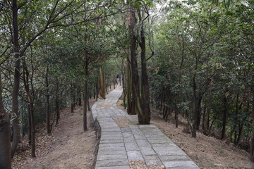 山路