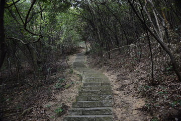 山路
