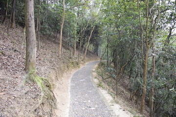 山路