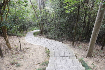 山路