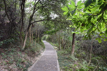 山路