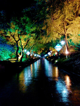 桂林杉湖夜景